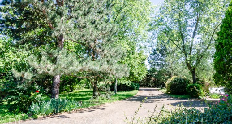 Bien Vendu Maison 200 m² à Trévoux 497 000 € - Trévoux (01600) - 15