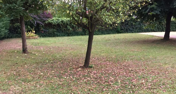 Bien Vendu Maison 86 m² à Trévoux 279 000 € - Trévoux (01600) - 6