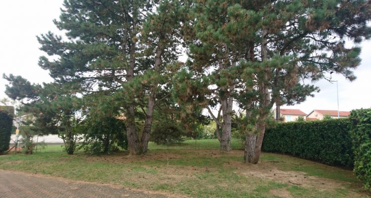 Bien Vendu Maison 127 m² à Belleville 294 000 € - Belleville (69220) - 12