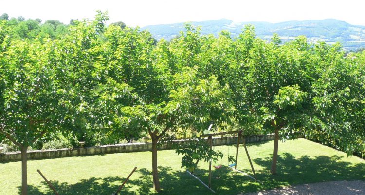 Bien Vendu Maison 190 m² à Genay 640 000 € - Genay (69730)
