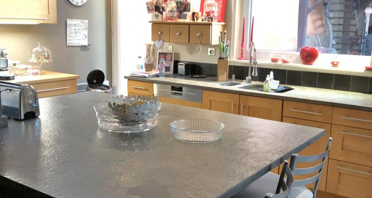 Bien Vendu Maison 240 m² à Fareins 530 000 € - Fareins (01480) - 7
