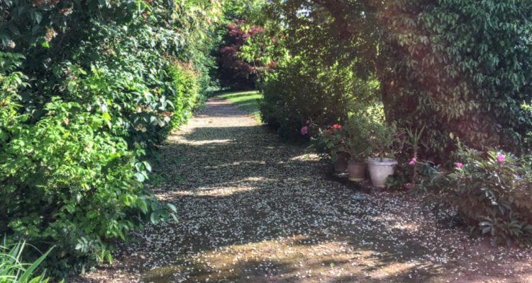 Bien Vendu Maison 250 m² à Guéreins 370 000 € - Guéreins (01090)
