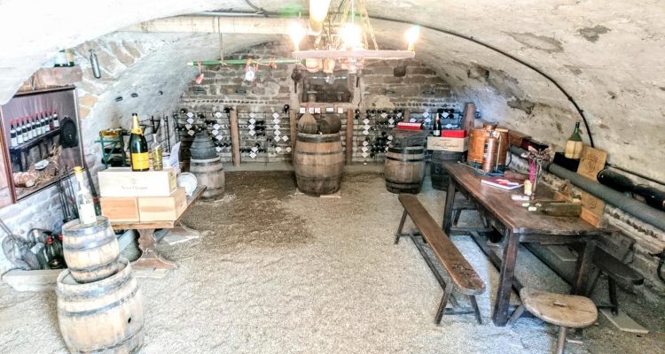 Bien Vendu Maison 250 m² à Guéreins 370 000 € - Guéreins (01090) - 3
