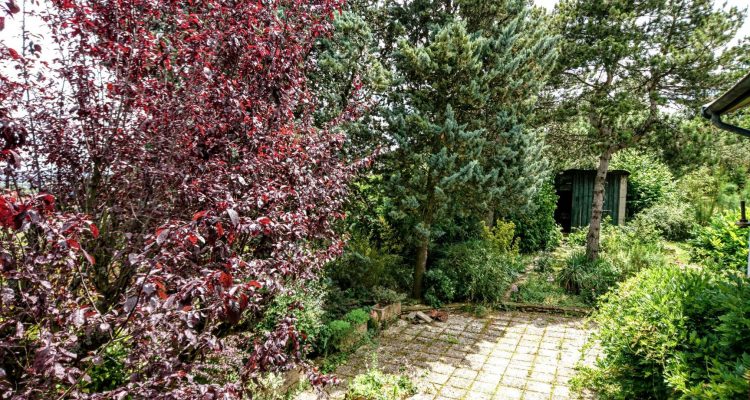 Bien Vendu Maison 85 m² à Anse 319 000 € - Anse (69480) - 5