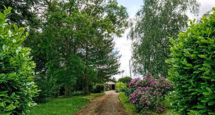 Bien Vendu Maison 85 m² à Anse 319 000 € - Anse (69480) - 7
