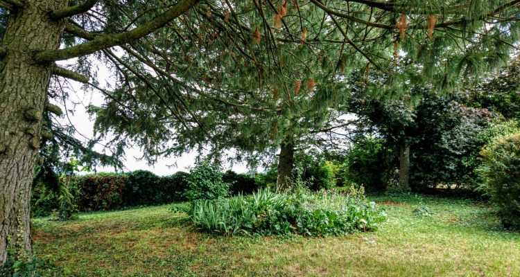 Bien Vendu Maison 85 m² à Anse 319 000 € - Anse (69480) - 8