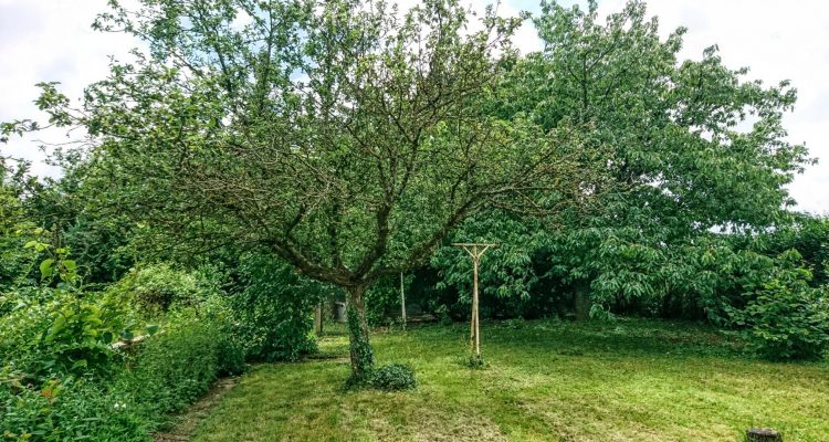 Bien Vendu Maison 85 m² à Anse 319 000 € - Anse (69480) - 18