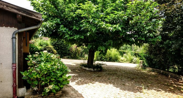 Bien Vendu Maison 85 m² à Anse 319 000 € - Anse (69480) - 21