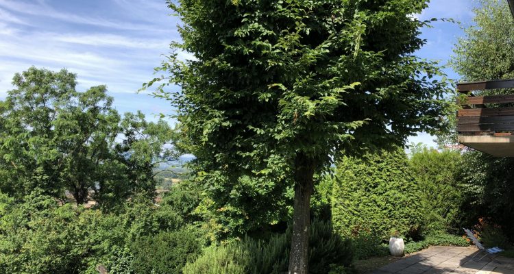 Bien Vendu Maison 103 m² à Montmerle-sur-Saône 210 000 € - Montmerle-sur-Saône (01090) - 1