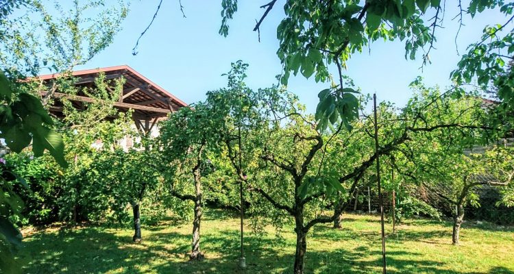 Bien Vendu Maison 113 m² à Saint-Jean-d’Ardières 233 000 € - Saint-Jean-d'Ardières (69220) - 1