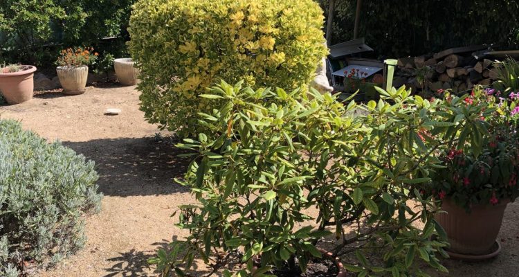 Bien Vendu Maison 85 m² à Montmerle-sur-Saône 185 000 € - Montmerle-sur-Saône (01090) - 16