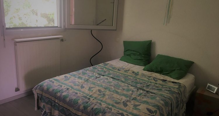 Duplex toit terrasse - Fontaines-sur-Saône (69270) - 7