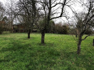 Bien Vendu Terrain 1113 m² à Messimy-sur-Saone 160 000 € - 1