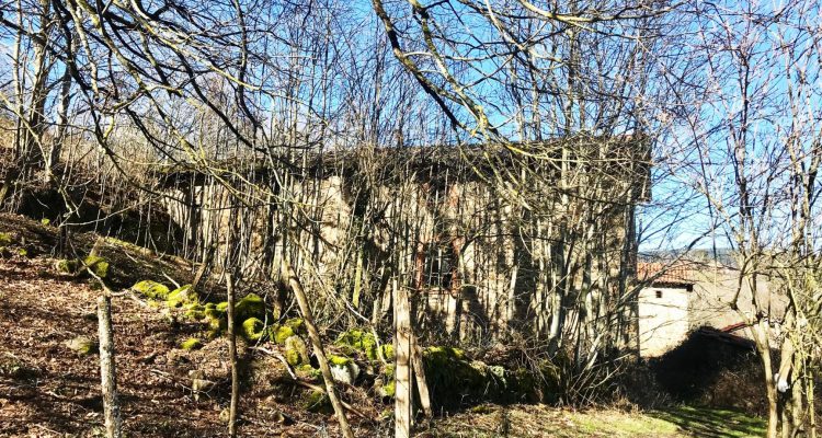 Bien Vendu Maison à Affoux 138 000 € - Affoux (69170) - 1