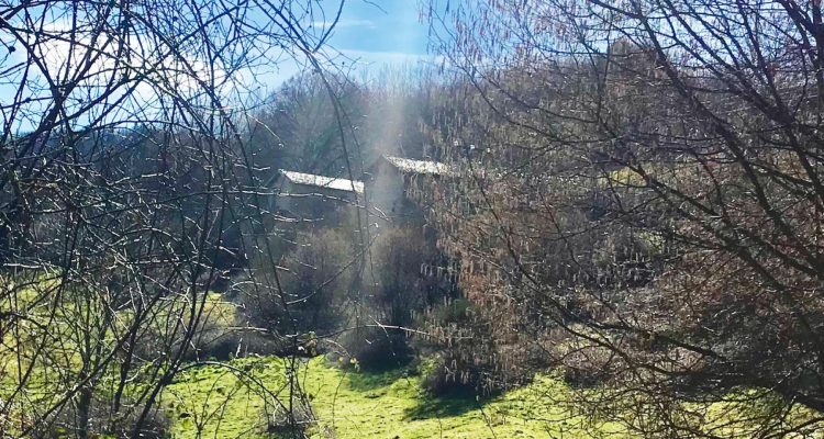 Bien Vendu Maison à Affoux 138 000 € - Affoux (69170) - 3