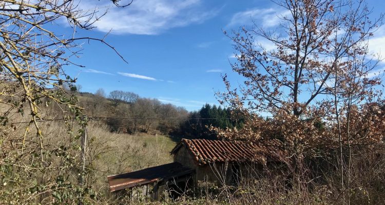 Bien Vendu Maison à Affoux 138 000 € - Affoux (69170) - 4