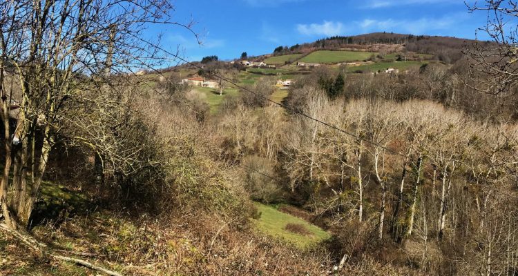 Bien Vendu Maison à Affoux 138 000 € - Affoux (69170) - 5