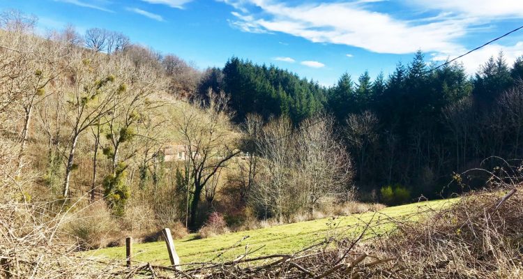 Bien Vendu Maison à Affoux 138 000 € - Affoux (69170) - 6