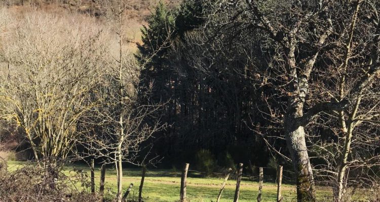 Bien Vendu Maison à Affoux 138 000 € - Affoux (69170) - 9