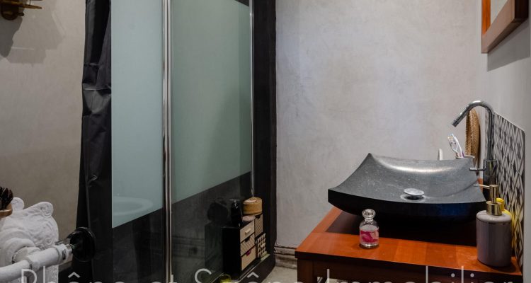 Bien Vendu Maison 250 m² à Guéreins 460 000 € - Guéreins (01090) - 9