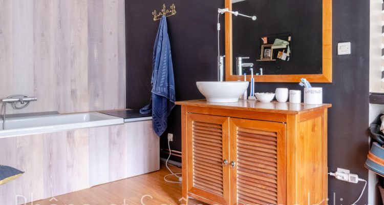 Bien Vendu Maison 250 m² à Guéreins 460 000 € - Guéreins (01090) - 10