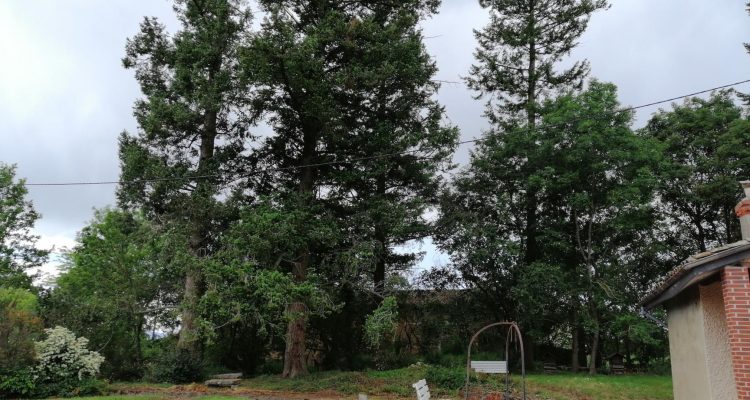 Bien Vendu Maison 100 m² à Montceaux 165 000 € - Montceaux (01090) - 3