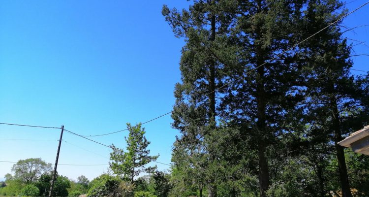 Bien Vendu Maison 100 m² à Montceaux 165 000 € - Montceaux (01090) - 11