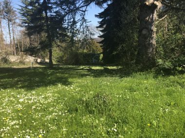Bien Vendu Terrain 697 m² à Albigny-sur-Saône 230 000 € - 1