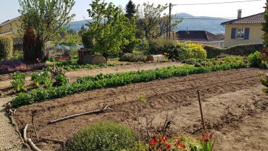 Bien Vendu Terrain 472 m² à Genay 175 000 € - 1