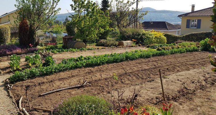 Bien Vendu Terrain 472 m² à Genay 175 000 € - Genay (69730)