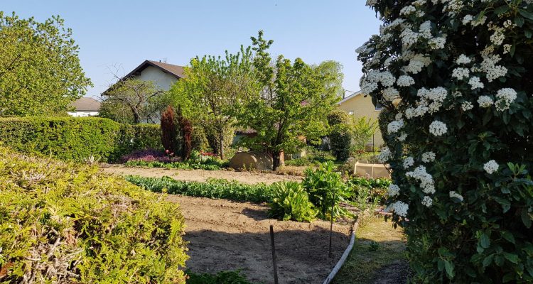 Bien Vendu Terrain 472 m² à Genay 175 000 € - Genay (69730) - 1