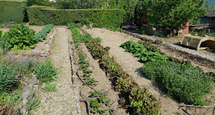 Bien Vendu Terrain 472 m² à Genay 175 000 € - Genay (69730) - 2