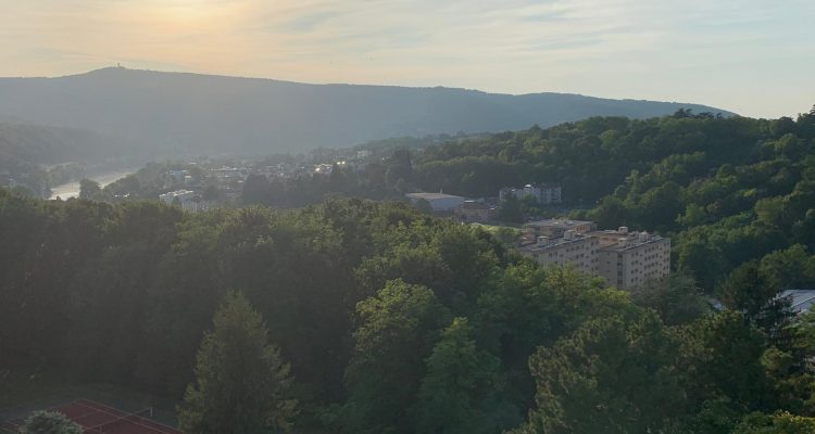 Bien Vendu T4 88 m² à Fontaines-sur-Saône 282 000 € - Fontaines-sur-Saône (69270) - 12