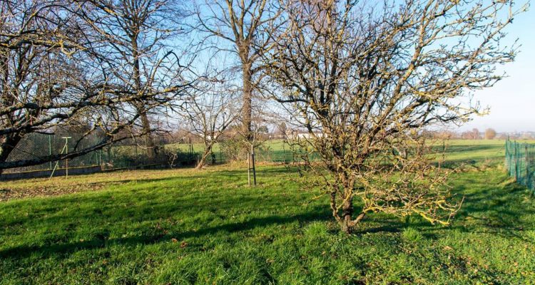 Bien Vendu Maison 180 m² à Saint-Didier-sur-Chalaronne 315 000 € - Saint-Didier-sur-Chalaronne (01140) - 8