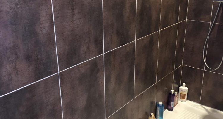 Bien Vendu Maison 136 m² à Saint-Didier-de-Formans 439 000 € - Saint-Didier-de-Formans (01600) - 20