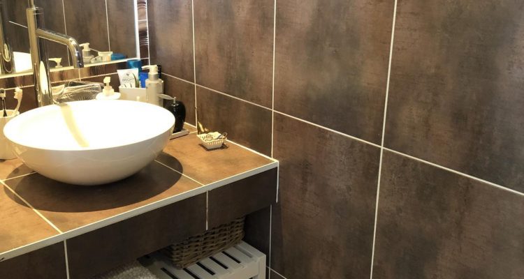Bien Vendu Maison 136 m² à Saint-Didier-de-Formans 439 000 € - Saint-Didier-de-Formans (01600) - 21