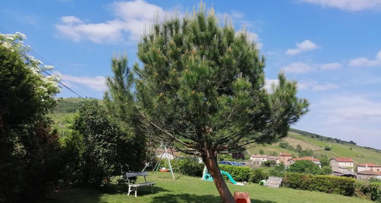 Bien Vendu Maison 160 m² à Le Perréon 395 000 € - Le Perréon (69460)