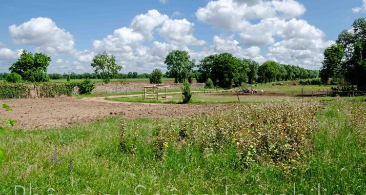 Bien Vendu Maison 240 m² à Saint-Georges-de-Reneins 400 000 € - Saint-Georges-de-Reneins (69830) - 7