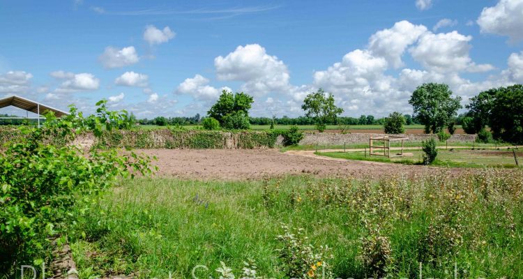 Bien Vendu Maison 240 m² à Saint-Georges-de-Reneins 400 000 € - Saint-Georges-de-Reneins (69830) - 15