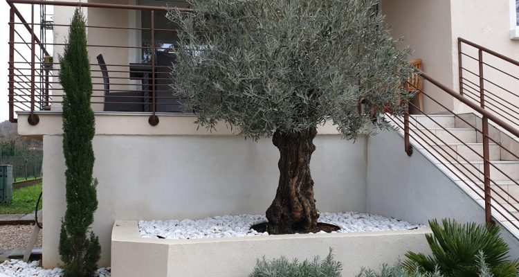 Bien Vendu Maison 230 m² à Reyrieux 525 000 € - Reyrieux (01600) - 4