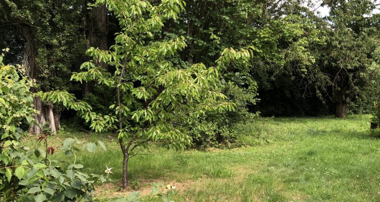 Bien Vendu Maison 90 m² à Fareins 340 000 € - Fareins (01480) - 11