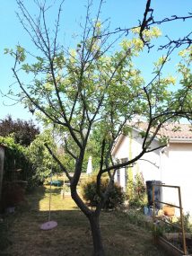 Bien Vendu Maison 133 m² à Blacé 389 000 € - 1