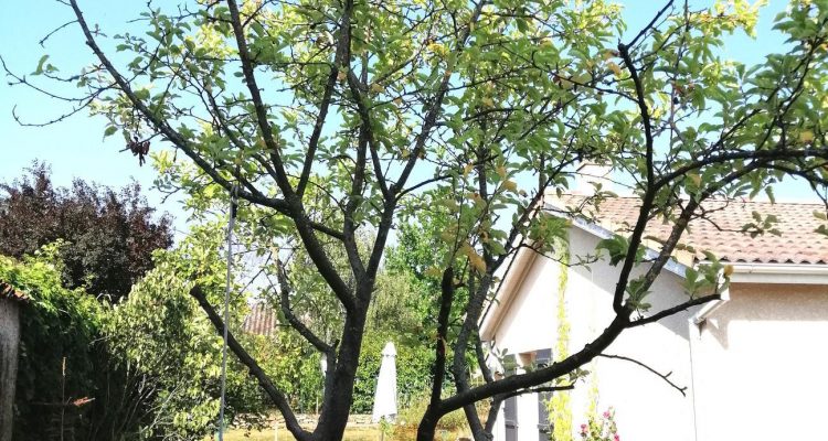 Bien Vendu Maison 133 m² à Blacé 389 000 € - Blacé (69460)