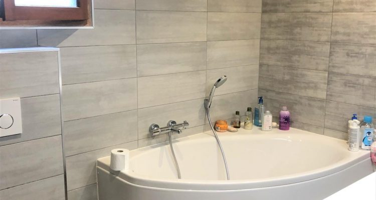 Bien Vendu Maison 106 m² à Frans 360 000 € - Frans (01480) - 10