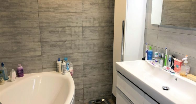 Bien Vendu Maison 106 m² à Frans 360 000 € - Frans (01480) - 12
