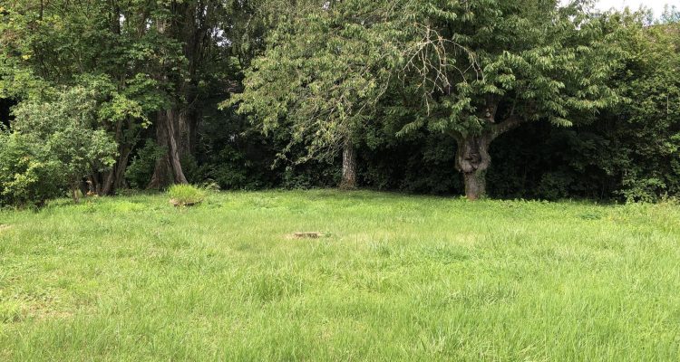 Bien Vendu Terrain 822 m² à Fareins 169 000 € - Fareins (01480)