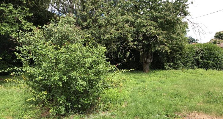 Bien Vendu Terrain 822 m² à Fareins 169 000 € - Fareins (01480) - 2
