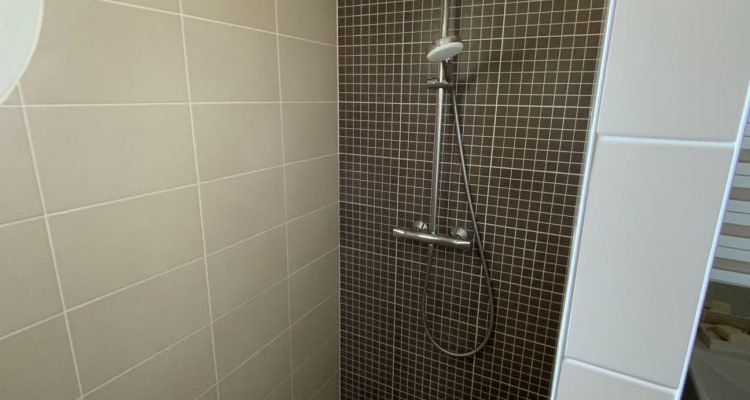 Bien Vendu Maison 155 m² à Messimy-sur-Saone 465 000 € - Messimy-sur-Saone (01480) - 14