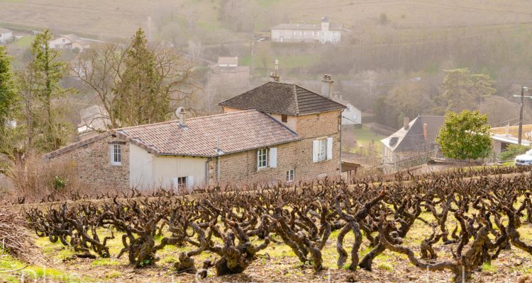 Bien Vendu Propriété 310 m² à Beaujeu 445 000 € - Beaujeu (69430) - 17
