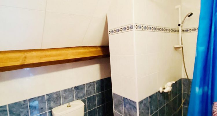 Bien Vendu Maison 140 m² à Solaize 550 000 € - Solaize (69360) - 23